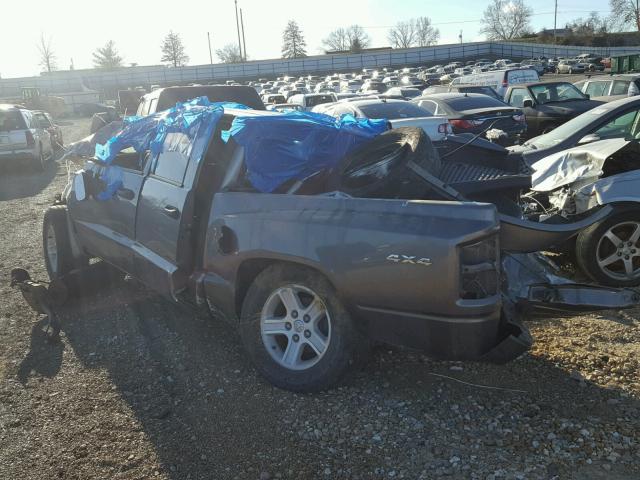 1D7RW3GK3BS589573 - 2011 DODGE DAKOTA SLT GRAY photo 3