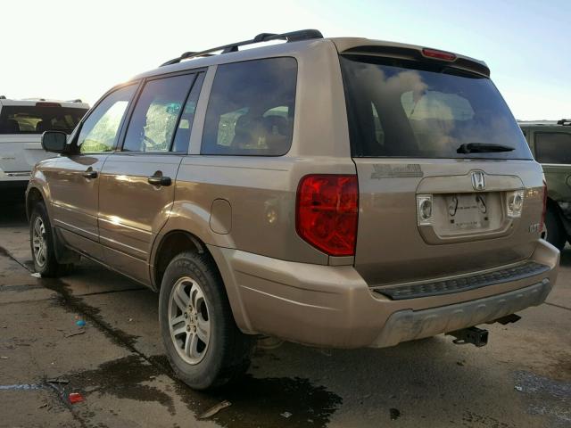 2HKYF18554H592110 - 2004 HONDA PILOT EXL GOLD photo 3