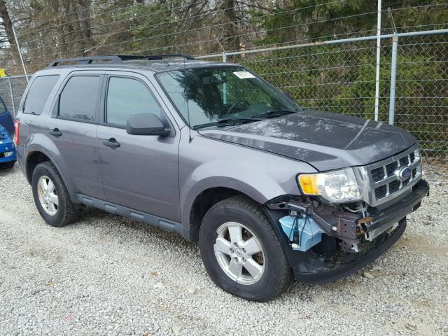 1FMCU0D75AKA72693 - 2010 FORD ESCAPE XLT GRAY photo 1