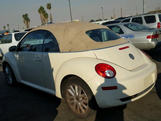 3VWRG31Y58M404796 - 2008 VOLKSWAGEN NEW BEETLE CREAM photo 3