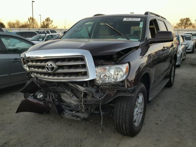 5TDZY5G19DS045288 - 2013 TOYOTA SEQUOIA SR BURGUNDY photo 2