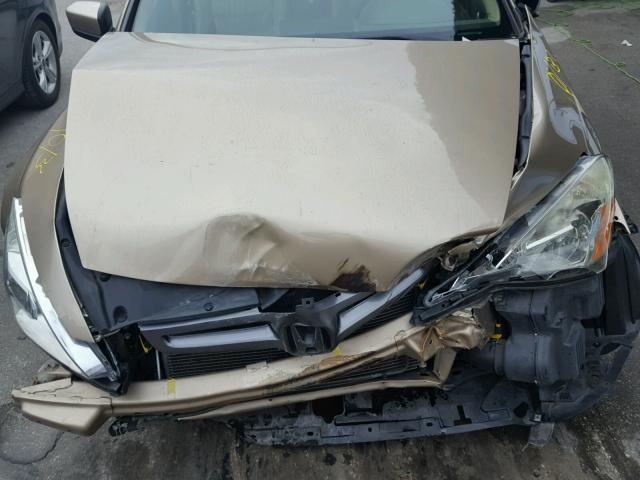 1HGCM66555A073522 - 2005 HONDA ACCORD EX GOLD photo 7