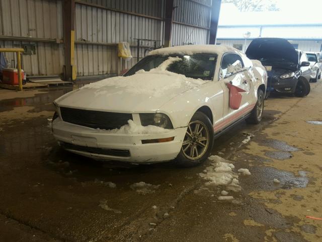 1ZVFT80N555114126 - 2005 FORD MUSTANG WHITE photo 2