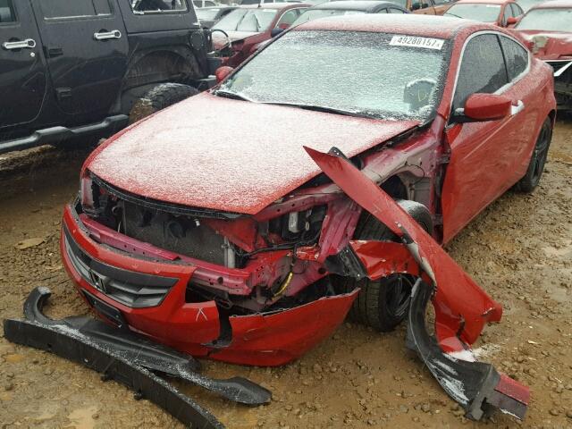 1HGCS2A88CA005793 - 2012 HONDA ACCORD EXL RED photo 2