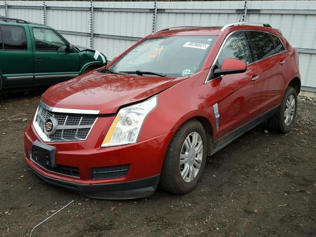 3GYFNDEY6BS550231 - 2011 CADILLAC SRX LUXURY RED photo 2