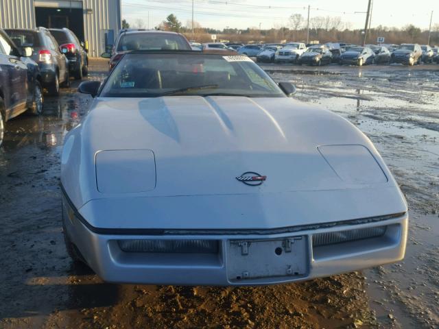 1G1AY0782E5102170 - 1984 CHEVROLET CORVETTE SILVER photo 10