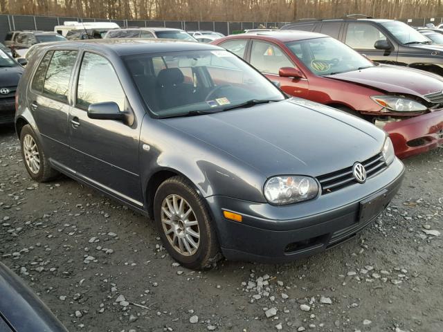 9BWGL61J644030088 - 2004 VOLKSWAGEN GOLF GLS GRAY photo 1