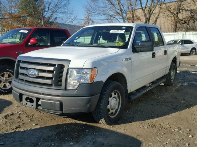 1FTEW1CW7AFC59447 - 2010 FORD F150 SUPER WHITE photo 2