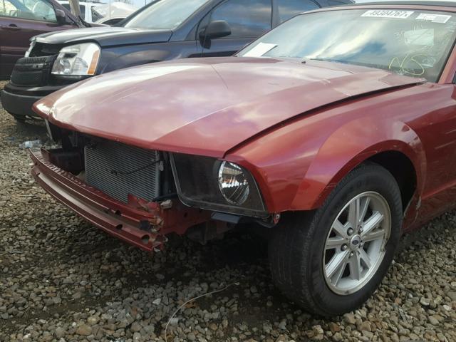 1ZVFT84N365185210 - 2006 FORD MUSTANG MAROON photo 9