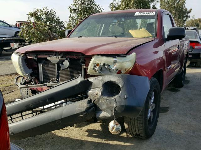 5TENX22N56Z311969 - 2006 TOYOTA TACOMA MAROON photo 2