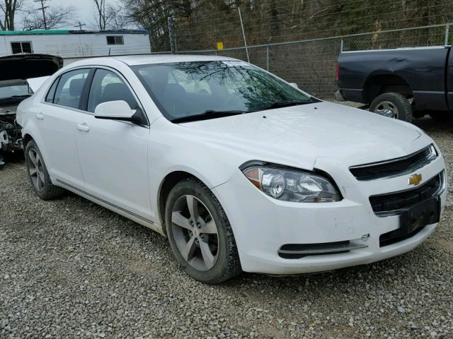 1G1ZC5E15BF162003 - 2011 CHEVROLET MALIBU 1LT WHITE photo 1