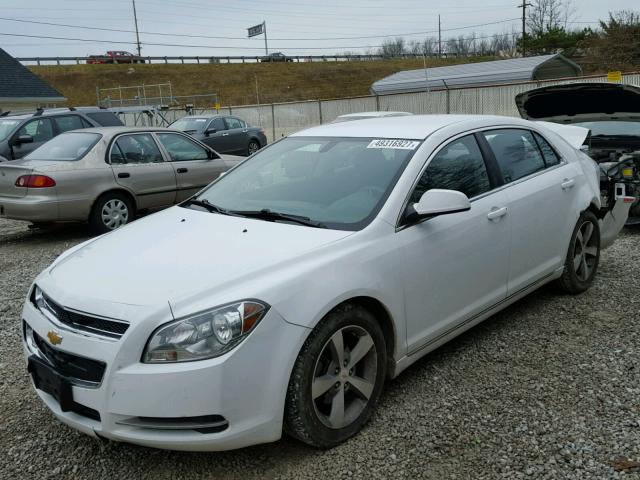 1G1ZC5E15BF162003 - 2011 CHEVROLET MALIBU 1LT WHITE photo 2
