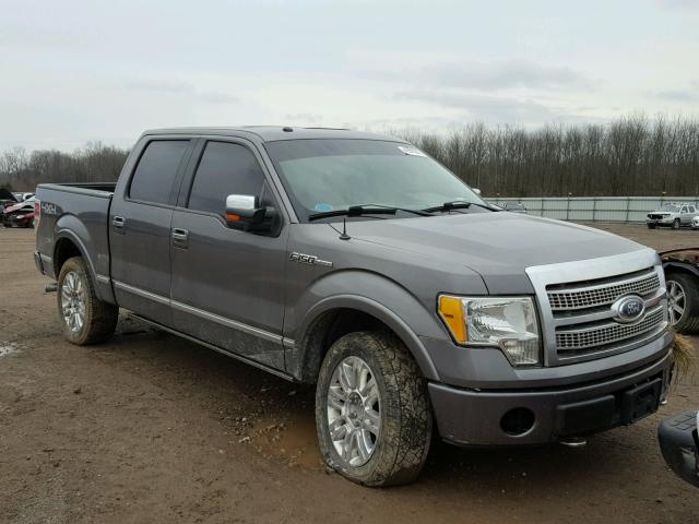 1FTFW1EV5AFD24062 - 2010 FORD F150 SUPER GRAY photo 1