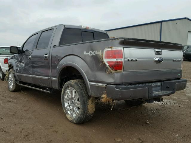 1FTFW1EV5AFD24062 - 2010 FORD F150 SUPER GRAY photo 3
