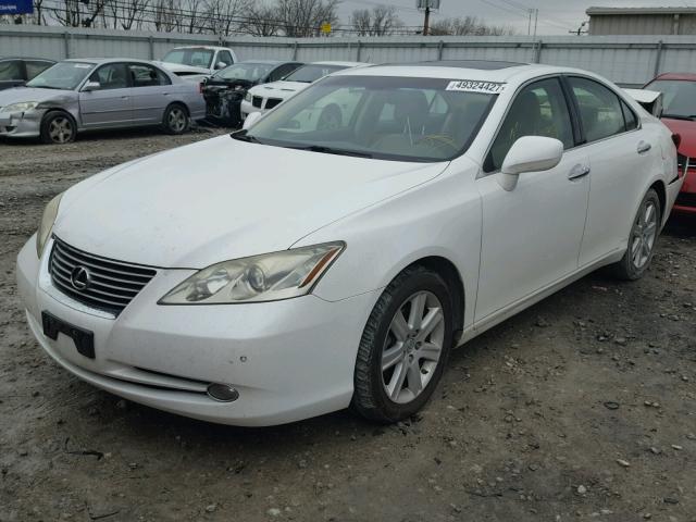 JTHBJ46G072082553 - 2007 LEXUS ES 350 WHITE photo 2