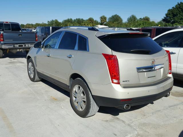 3GYFNCE3XDS597392 - 2013 CADILLAC SRX LUXURY TAN photo 3