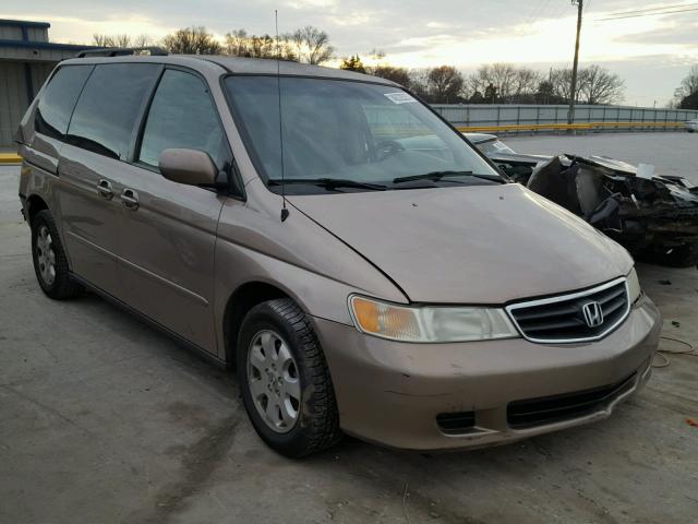 5FNRL18683B020435 - 2003 HONDA ODYSSEY EX GOLD photo 1