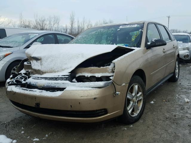 1G1ZT62865F160286 - 2005 CHEVROLET MALIBU MAX 金色 照片 2