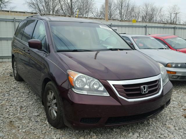 5FNRL38609B412247 - 2009 HONDA ODYSSEY EX BURGUNDY photo 1