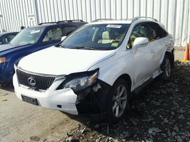 2T2BK1BA4AC010984 - 2010 LEXUS RX 350 WHITE photo 2