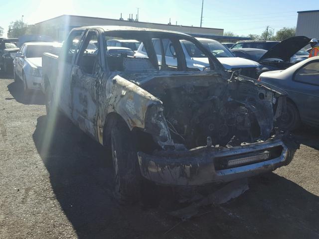 1FTRW12W75FA75540 - 2005 FORD F150 SUPER BURN photo 1