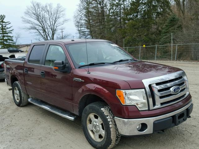 1FTFW1EV0AFC76664 - 2010 FORD F150 SUPER RED photo 1