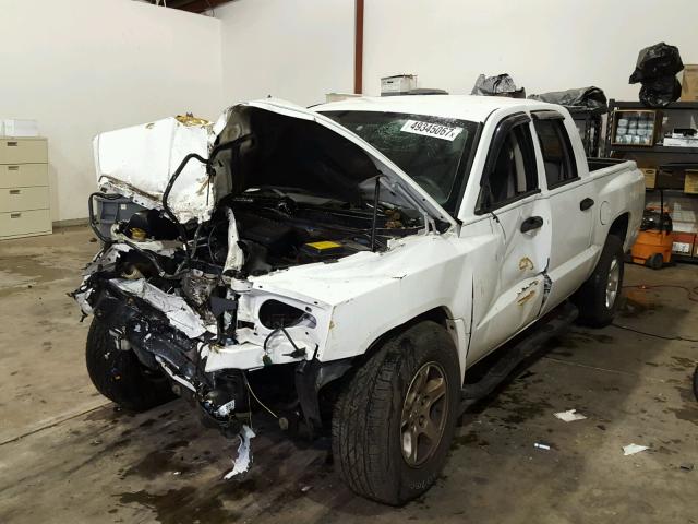 1D7HE48K17S117625 - 2007 DODGE DAKOTA QUA WHITE photo 2