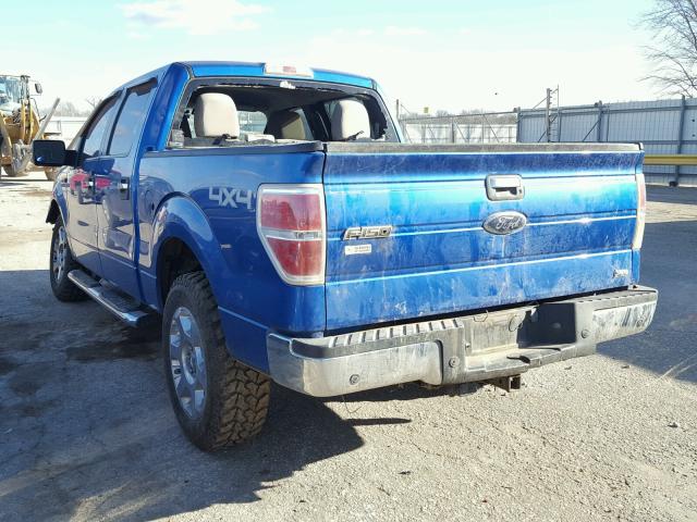 1FTFW1EV0AFC45818 - 2010 FORD F150 SUPER BLUE photo 3