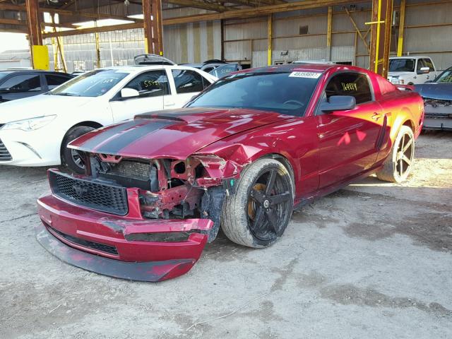 1ZVFT80N255166152 - 2005 FORD MUSTANG RED photo 2