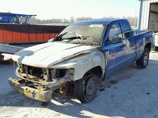 1D7RW2BK7BS533170 - 2011 DODGE DAKOTA ST BLUE photo 2