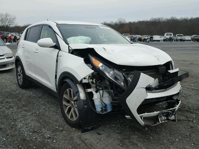 KNDPBCAC8G7878392 - 2016 KIA SPORTAGE L WHITE photo 1