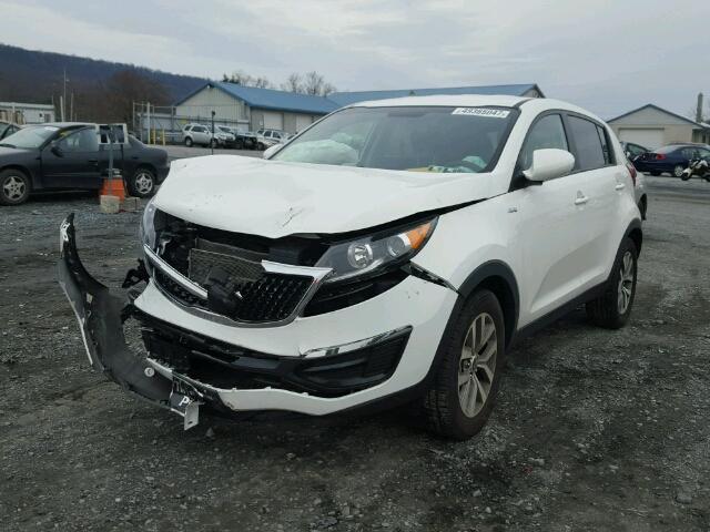 KNDPBCAC8G7878392 - 2016 KIA SPORTAGE L WHITE photo 2