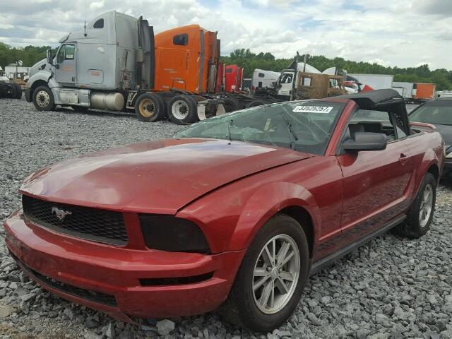 1ZVHT84N555213239 - 2005 FORD MUSTANG RED photo 2