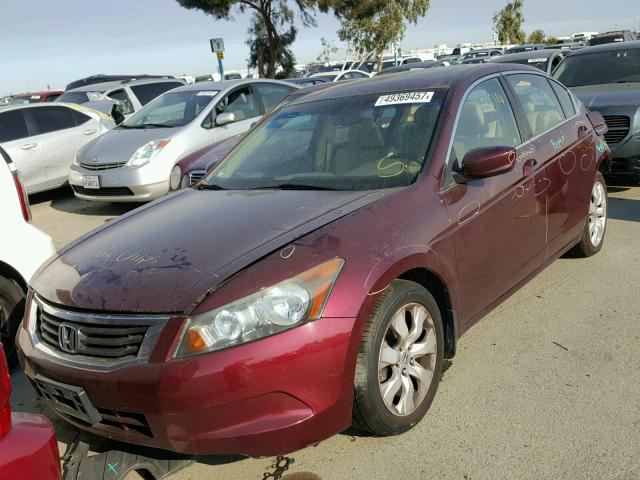 1HGCP2F87AA026948 - 2010 HONDA ACCORD EXL BURGUNDY photo 2