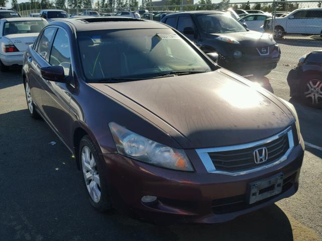 1HGCP36828A066595 - 2008 HONDA ACCORD EXL BURGUNDY photo 1