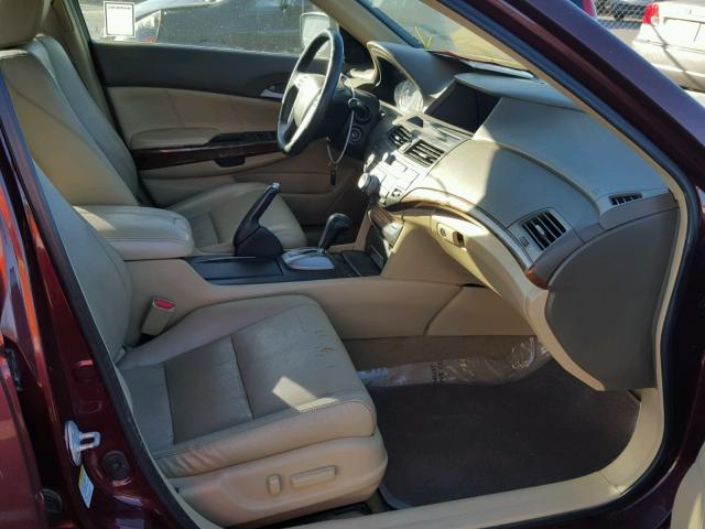 1HGCP36828A066595 - 2008 HONDA ACCORD EXL BURGUNDY photo 5