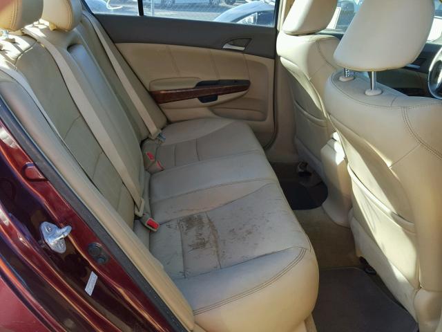 1HGCP36828A066595 - 2008 HONDA ACCORD EXL BURGUNDY photo 6