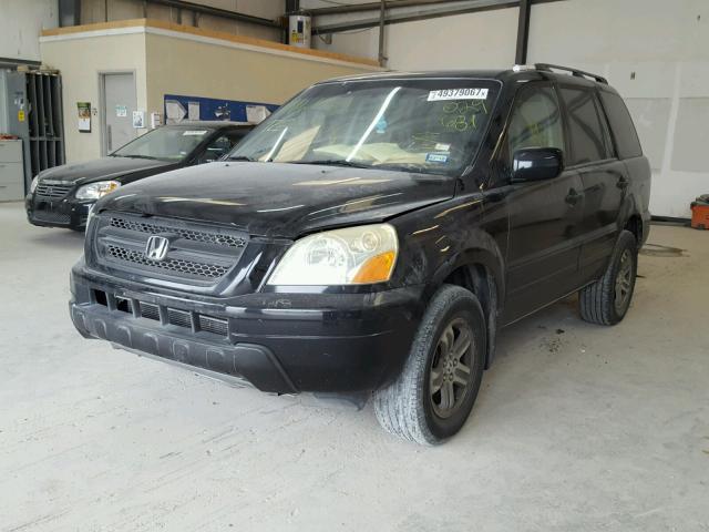 5FNYF18565B029681 - 2005 HONDA PILOT EXL BLACK photo 2