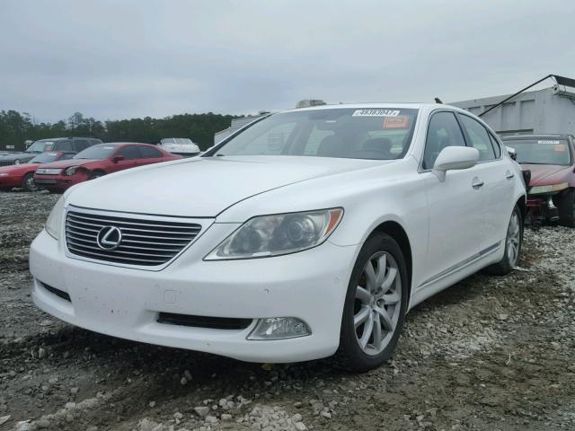 JTHBL46F585082744 - 2008 LEXUS LS 460 WHITE photo 2