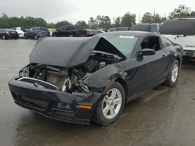 1ZVBP8AM0D5258173 - 2013 FORD MUSTANG BLACK photo 2