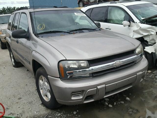 1GNDT13S532293471 - 2003 CHEVROLET TRAILBLAZE BEIGE photo 1