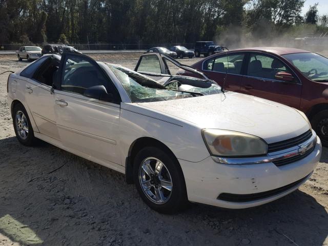 1G1ZT64815F254427 - 2005 CHEVROLET MALIBU MAX თეთრი ფოტო 1