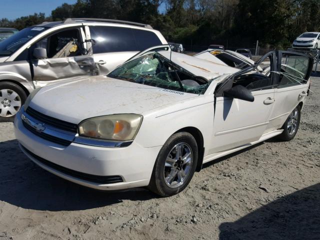 1G1ZT64815F254427 - 2005 CHEVROLET MALIBU MAX თეთრი ფოტო 2