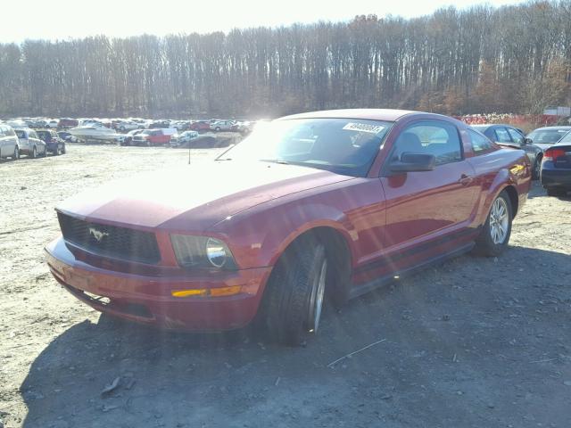 1ZVHT80N785119633 - 2008 FORD MUSTANG RED photo 2