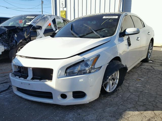 1N4AA5APXBC854950 - 2011 NISSAN MAXIMA S WHITE photo 2