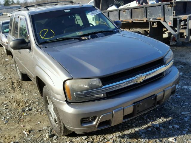 1GNDT13S162141109 - 2006 CHEVROLET TRAILBLAZE GOLD photo 1