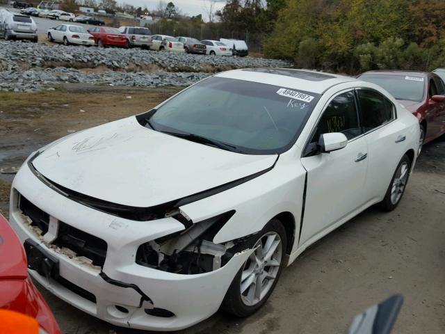 1N4AA5AP2AC862152 - 2010 NISSAN MAXIMA S WHITE photo 2