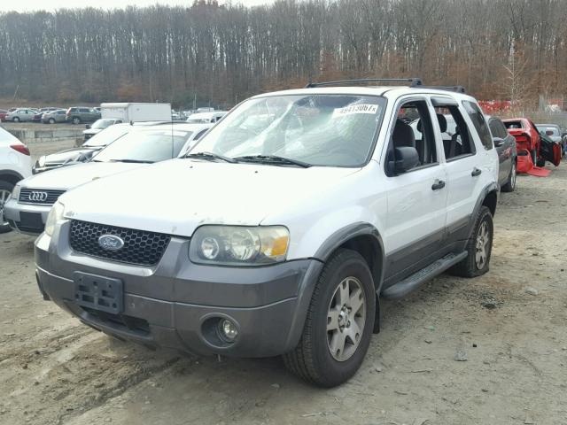 1FMYU93135KA79607 - 2005 FORD ESCAPE XLT WHITE photo 2