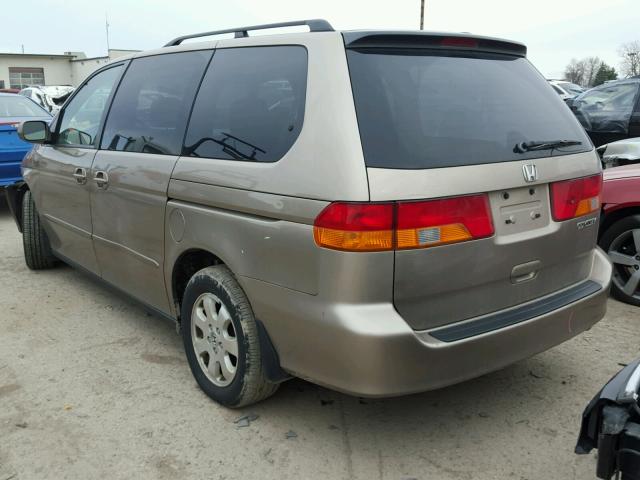 2HKRL186X3H504978 - 2003 HONDA ODYSSEY EX TAN photo 3