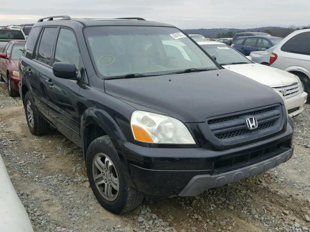 5FNYF18525B031931 - 2005 HONDA PILOT EXL BLACK photo 1